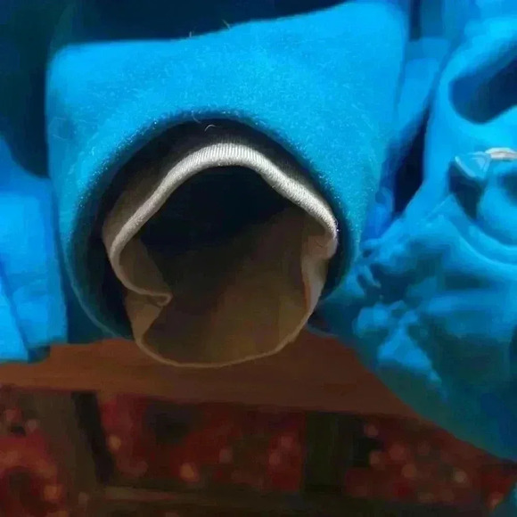 Mountain hardware women’s size large jacket. - Picture 9 of 10